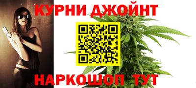 крисы Канаш