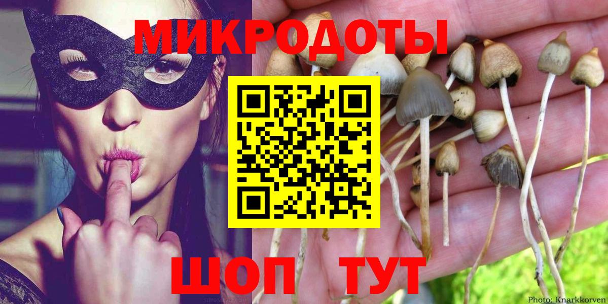 Псилоцибиновые грибы Psilocybine cubensis Вятские Поляны